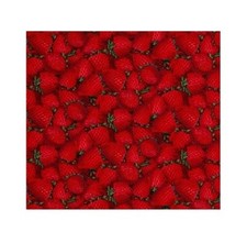 Fabric Traditions - Packed Red Strawberry - Cotton YARD