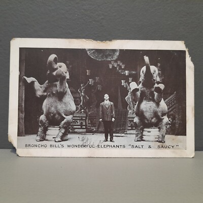 Elefant Broncho Bills Wonderful Elephants Salt Saucy Circus 1923 Foto Postkarte