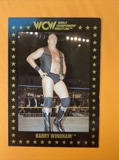 1991 Championship Marketing WCW Barry Windham card #17