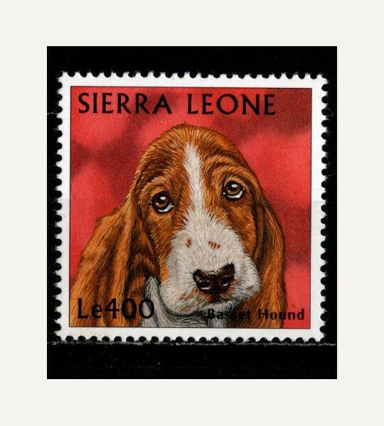 Sierra Leone, Sc #2067a, MNH, 1997, BASSET HOUND, DOG, ANIMALS