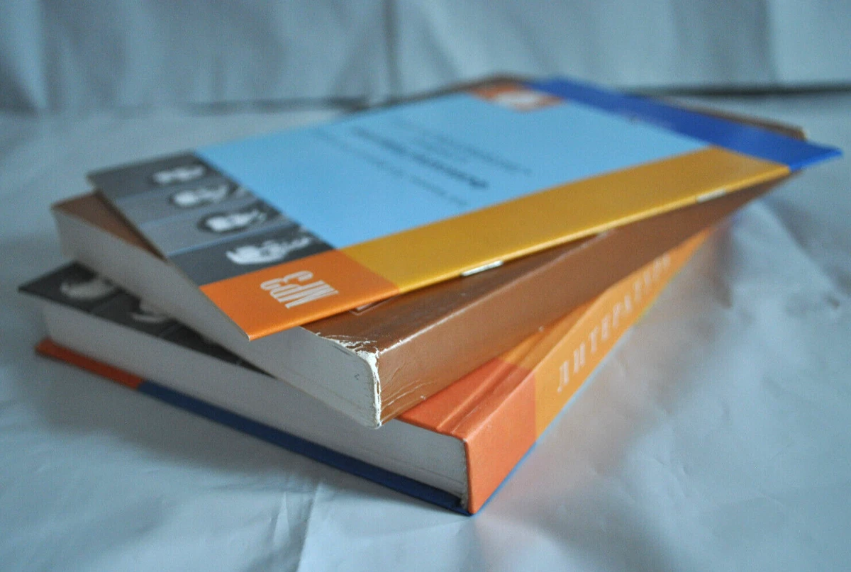 Литература 9 Класс Коровина Журавлёв Турьянская Учебники Lot.