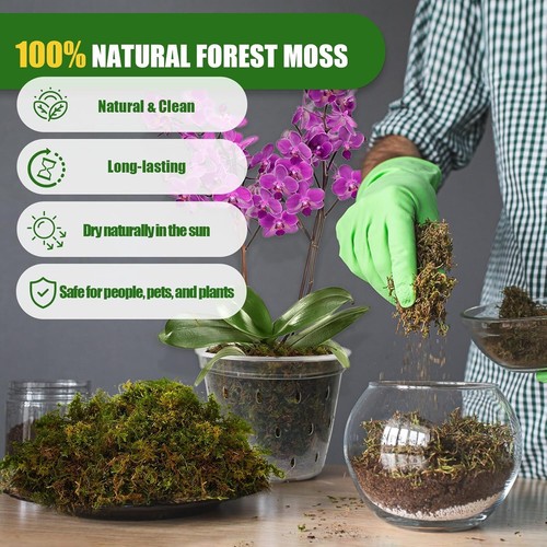 Dried Forest Moss for Plants (5 Qt / 1 Pack), Sphagnum Potting Moss for Various - Picture 3 of 7
