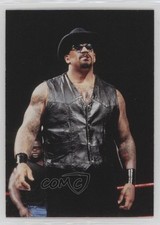 1998 Comic Images WWF Superstarz The Godfather #27 0q3
