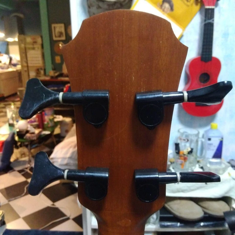 Bajo Eléctrico Acústico Aria FEB-FL/F N Natural Hecho en Japón Foto 4 de 4