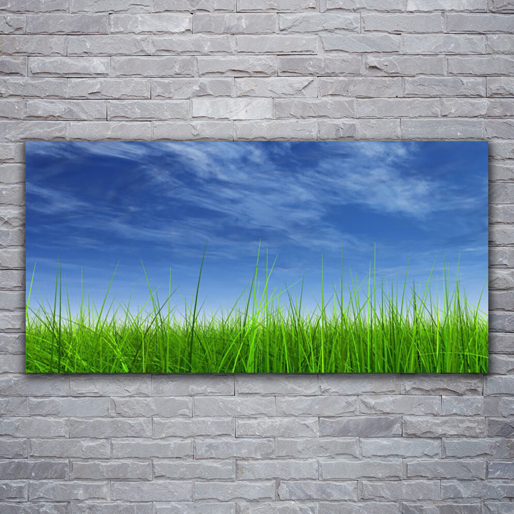 Tableau plexiglas haut de gamme Tulup effet brillant panoramique