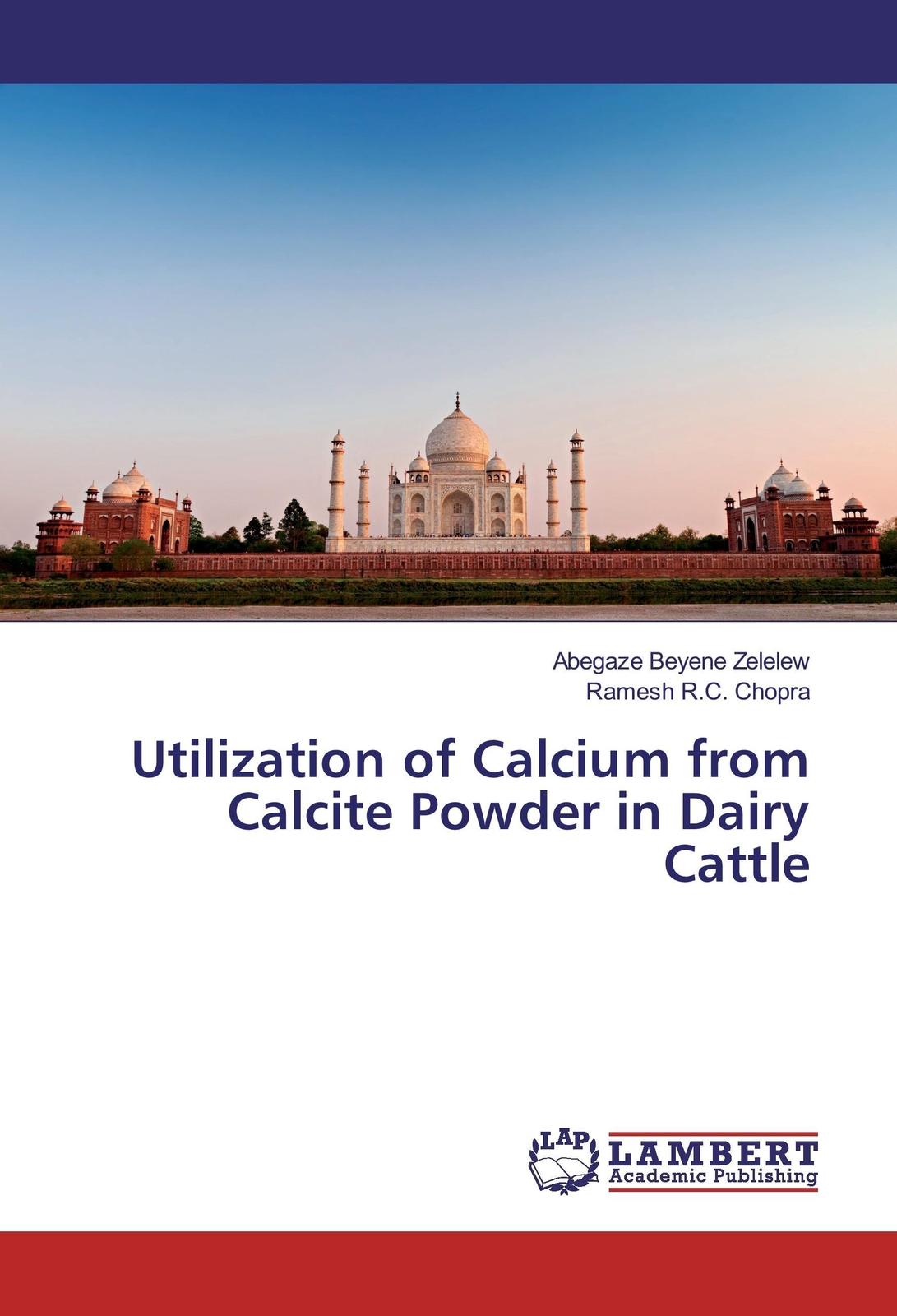 Thumbnail - Abegaze Beyene Zelelew (u. A.) | Utilization Of Calcium From Calcite