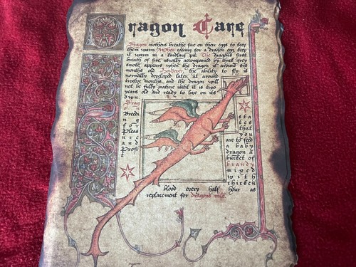 The Wizarding Trunk Harry Potter 8x10 Kunstdruck Dragon Care