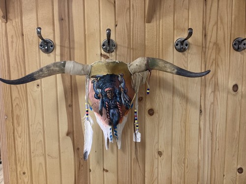VTG HANDPAINTED LONGHORN STEER SKULL REAL 24” Tip to Tip Native American Indian - Picture 6 of 9