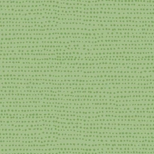 Moonscape in Kiwi | Moonscape | Dear Stella