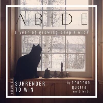 Surrender to Win, Brand New, Free shipping in the US