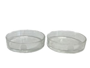 Pyrex 3160-101 Petri Dishes, 100mm X 15mm, Pack Of 12 - Borosilicate Glass, Sterilizable