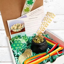 Leprechaun Trap Kit DIY Leprechaun Kit Kids St. Patrick's Day Craft Ideas