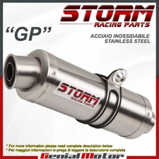 Exhaust Storm by Mivv Muffler