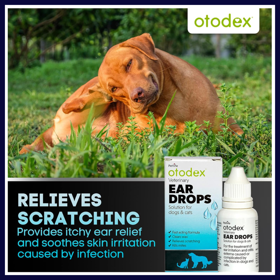 Petlife Otodex Cat Dog Pet Ear Drops Fast Acting Releif 14ml NEW eBay