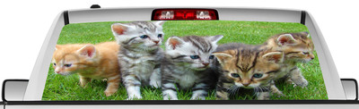 Rear window graphic view thru decal sticker, cats, pickup truck SUV Vans