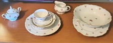 Delicate Rare Vintage 1955 Winterling Bavarian China With 8 Place Settings