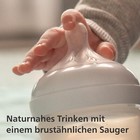 Bild 4 von 6