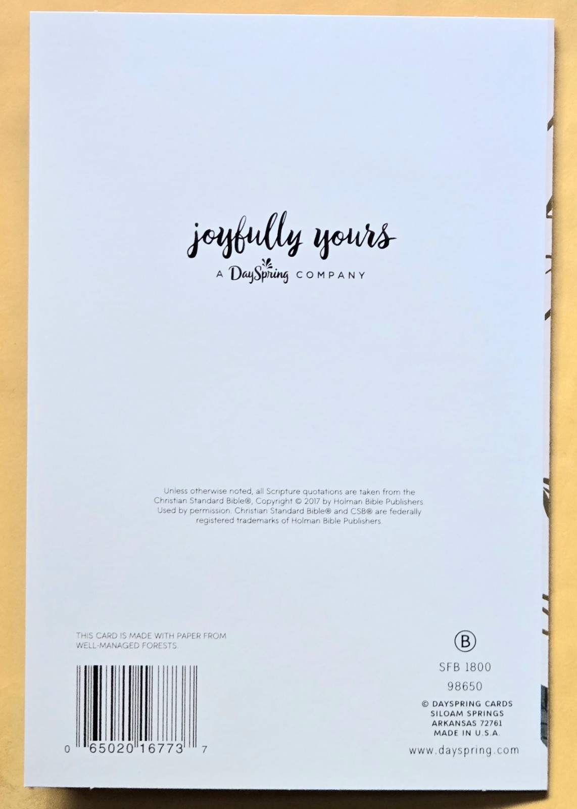 Happy Birthday! Greeting Card Large Format (+ Envelope 5.5x8". (Sister)