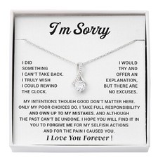 I'm Sorry Gift For Wife Necklace, Sorry Gift for Girlfriend, Forgiveness Gift