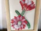 Picture 7 of 11