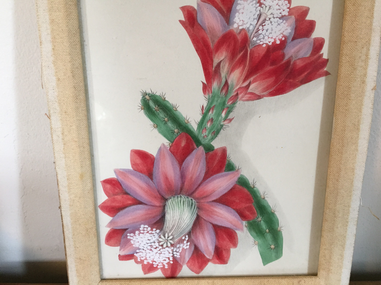Picture 7 of 11