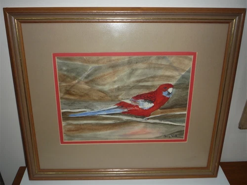 VINTAGE AUSTRALIAN WATERCOLOUR OFA  ROSELLA SIGNED JENNY WEBB - Picture 1 of 5