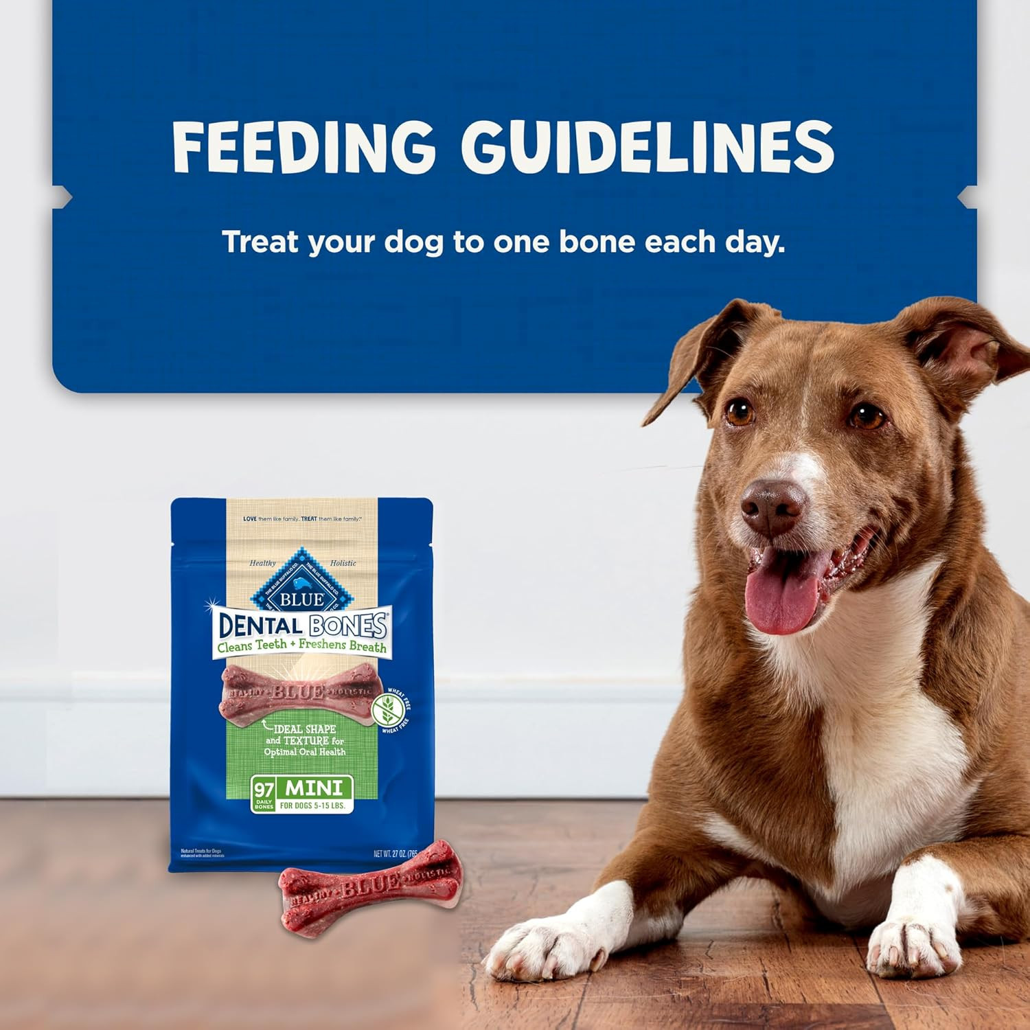 Dental Bones Mini Natural Dental Chew Dog Treats, (5-15 Lbs) 27-Oz