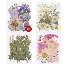 80 Pcs Dried Pressed Flower Leaves Bulk for Resin, Purple Pink Green