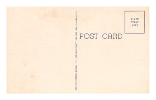 Postcard Humor Love Wicked Bad Bum Wish I Could Find Me Some - Picture 2 of 2