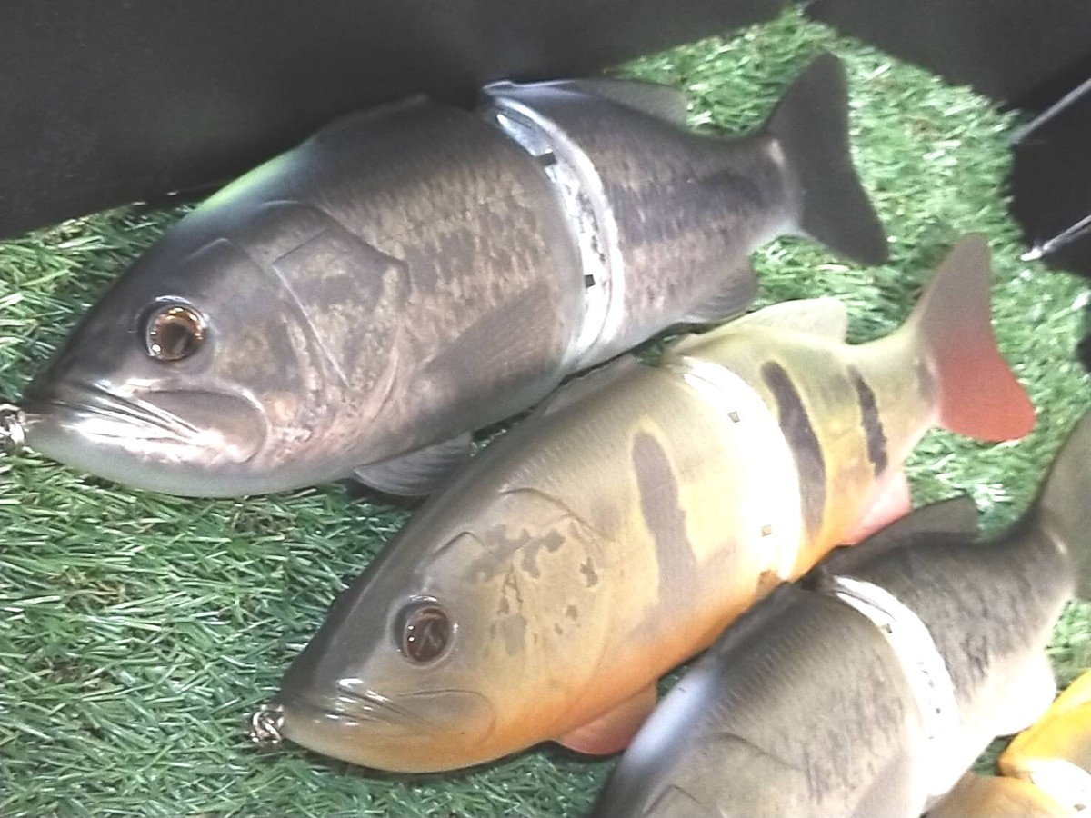 Deps CODE NAME BASS Depsweb Members Limited Please choose a Deps CODE NAME BASS Depsweb Members Limited Please choose a