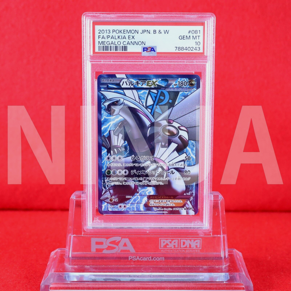 PSA10!!} Pokemon Card Palkia EX 081/076 SR Team Plasma PSA10!!} Pokemon Card Palkia EX 081/076 SR Team Plasma