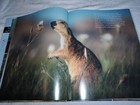 Picture 3 of 5