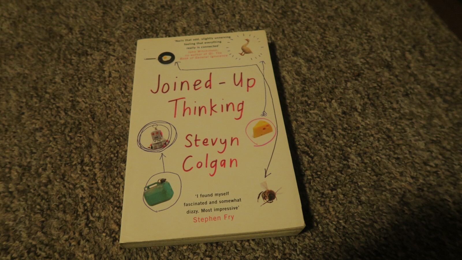 Joined-Up Thinking by Colgan, Stevyn Paperback Book The Cheap Fast Free Post