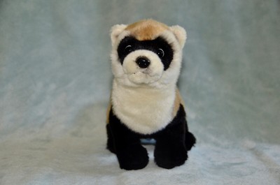 black footed ferret stuffed animal
