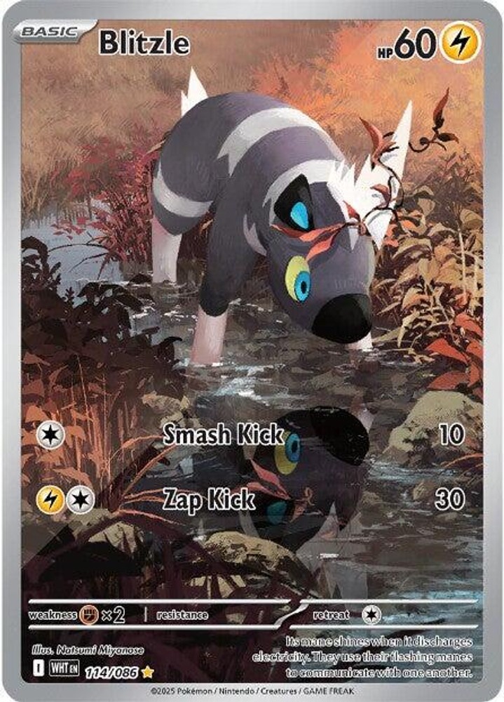 Pokemon EN Blitzle 114/086 WHT NM