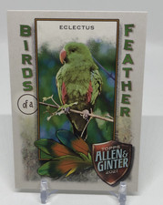 2021 Topps Allen & Ginter Birds Of A Feather - Eclectus #BOF-1