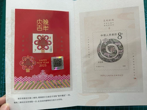 China 2025 特別版 NY19 New year Greeting of Snake Special Stamps S/S PACK FOLDER