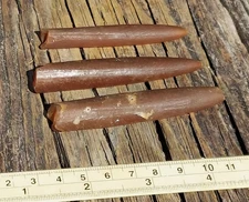 Three Fossil Belemnites South New Jersey