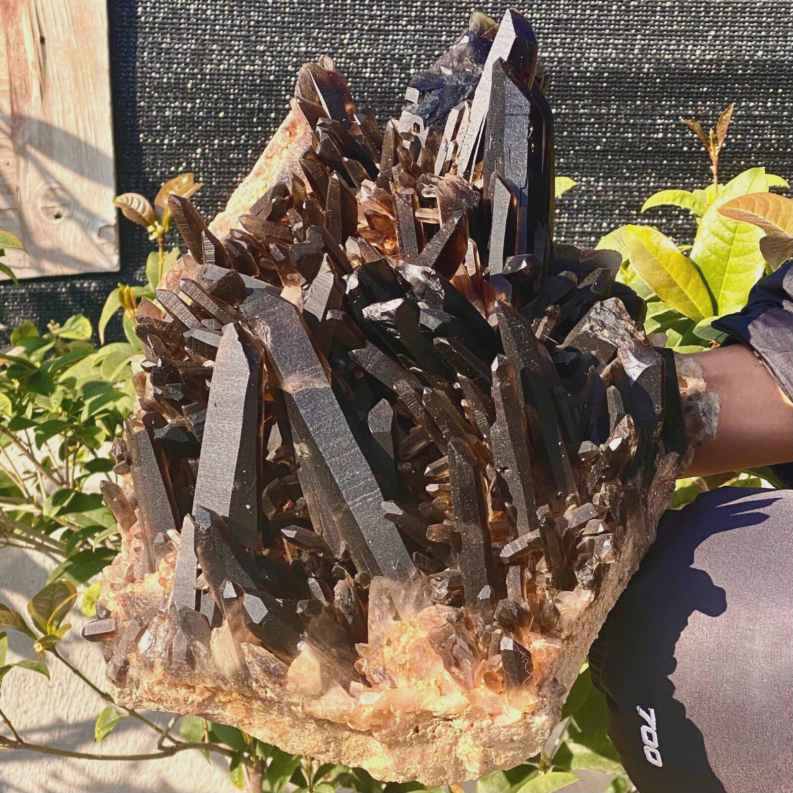 16.4LB Stunning Black Quartz Crystal Cluster Mineral Specimen Natural Beauty  