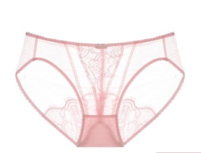 Dita Von Teese Muse Sheer Lace Full Back Coverage Bikini Panty in Cameo Pink - L