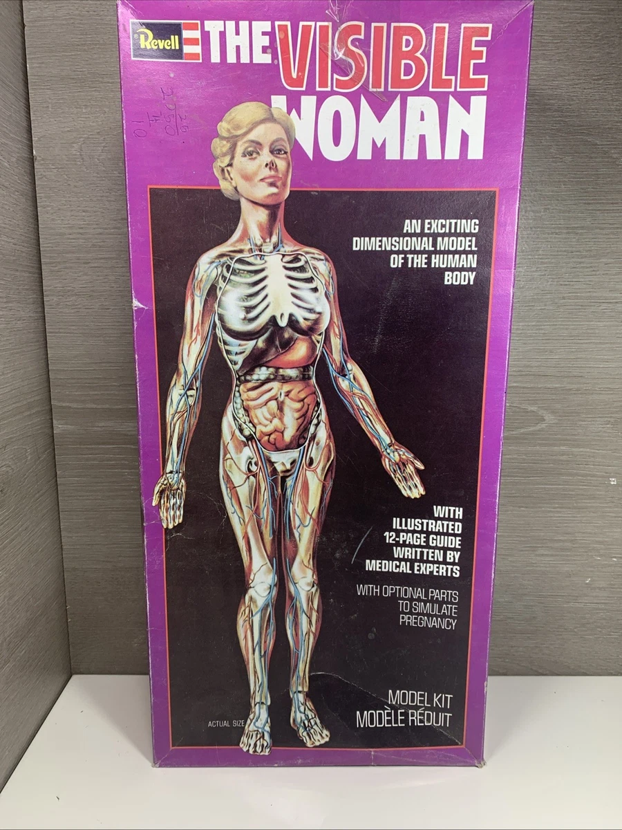 visible woman products for sale | eBay