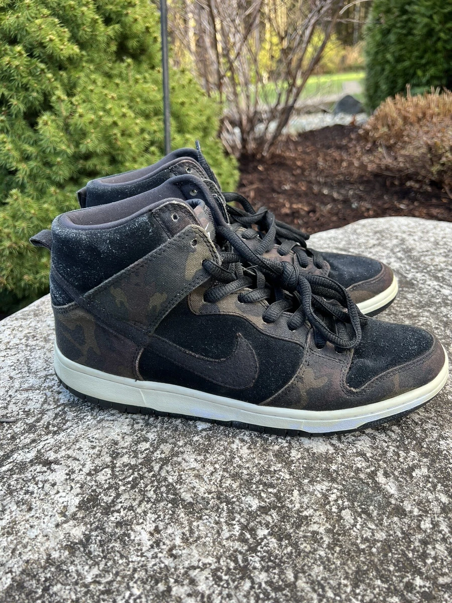 Nike sb hotsell dunk iguana camo