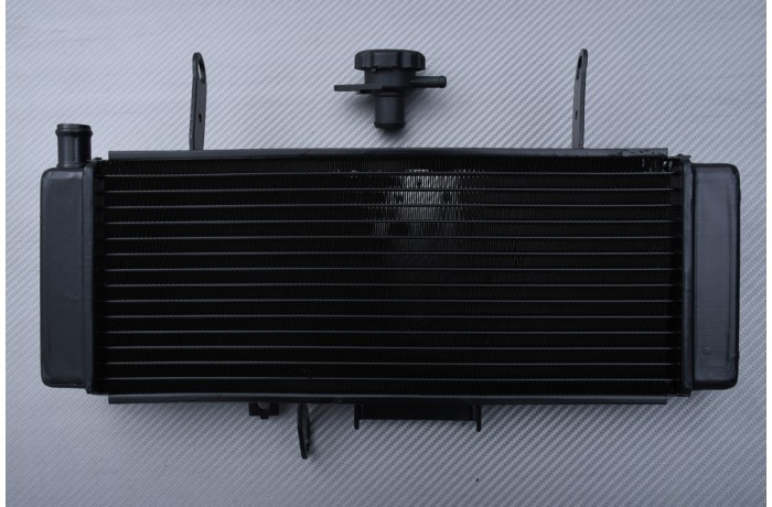 Radiateur rechange Suzuki SV 650 S 2003 2004 pour réparation moto