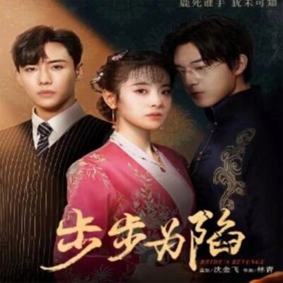 Chinese Drama TV Movie Brides revenge 5DVD Chinese Sub HD Free region 步步为陷 2023