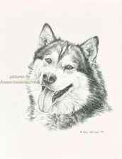 #168 ALASKAN MALAMUTE portrait dog art print ...