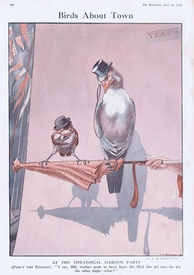 VÖGEL ÜBER DIE STADT Theater Gartenparty von LR Brightwell - Antikdruck 1923