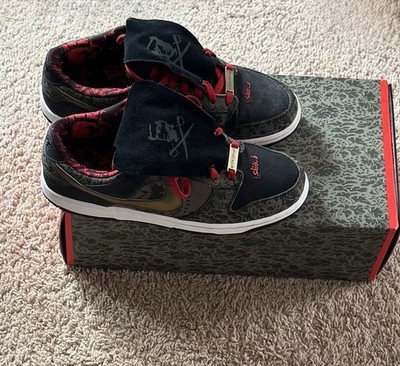 11 - Nike Dunk Premium SB Low SBTG Friends and Family Special Box | DS | Rare