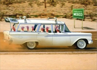 Turkeys in Station Wagon Funny Thanksgiving Card - Greeting Card by Avanti Press