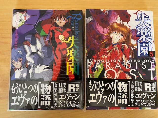 Vintage Evangelion Set Of 2 Doujinshi Paradise Lost V 1 And 5 Ebay