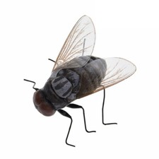 Simulated Insect and Flies Clay Animal Model Teaching Aid for School Kitchen